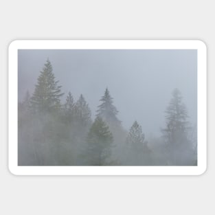 Fog Sticker